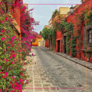 San Miguel de Allende Express