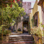 San Miguel de Allende Express