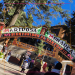 Santuario de la Mariposa Monarca