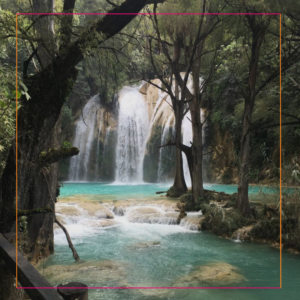Selva de Chiapas