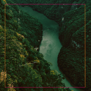 Selva de Chiapas