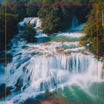 Selva de Chiapas