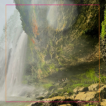 Selva de Chiapas